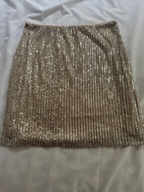 Sequin A-Line Mini Skirt Silver